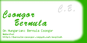 csongor bernula business card